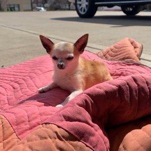 Meet your Posher, Robin